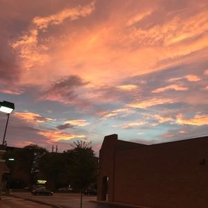 Meet your Posher, Lilly